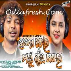 Haelo Tora Malli Phula Gajara